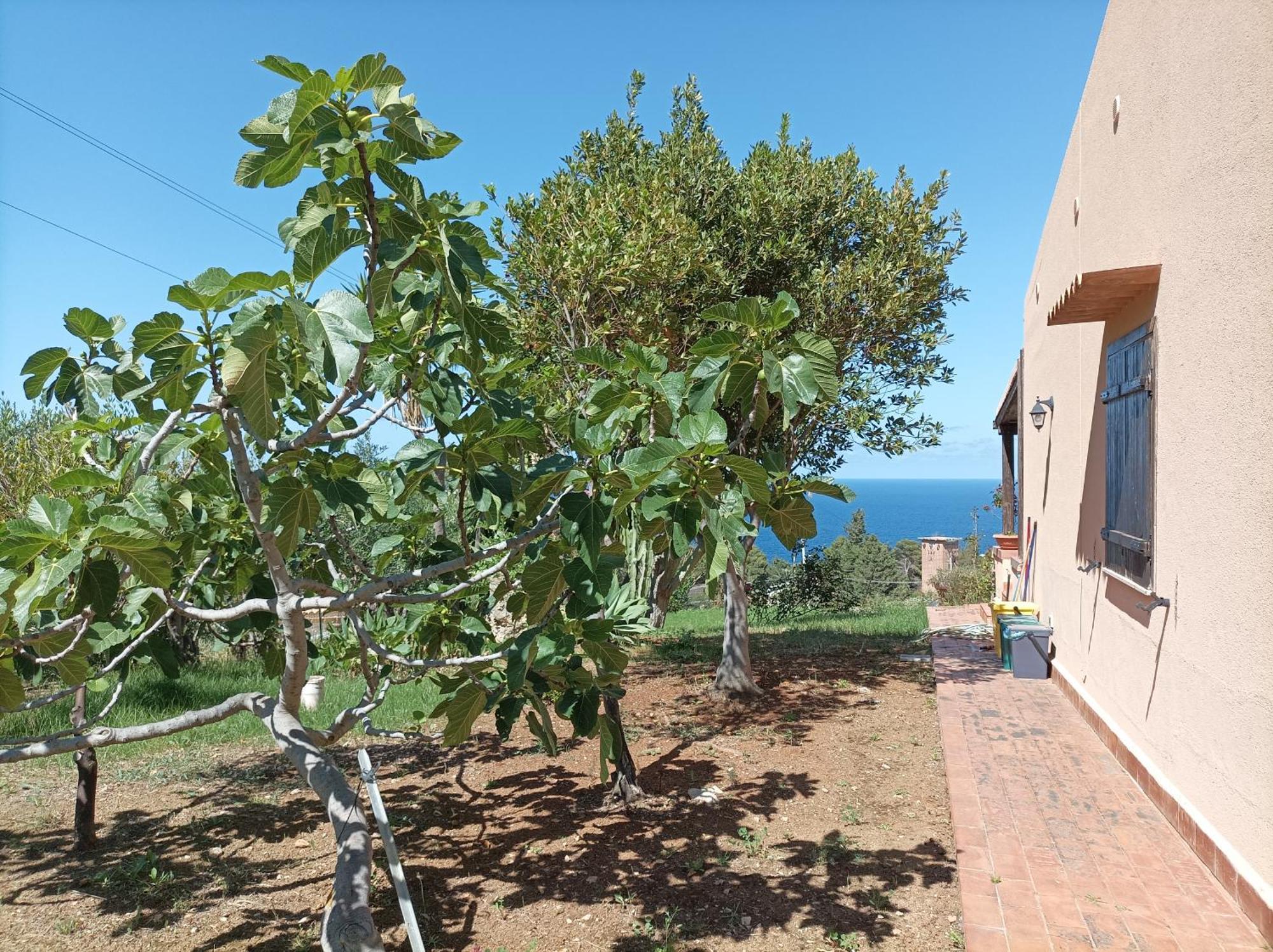 La Terrazza Su Pispisa Villa Castellammare del Golfo Dış mekan fotoğraf
